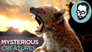 5 Cryptids That Could Actually Exist | Random Thursday