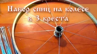 Bicycle wheel spike in 3 crosses