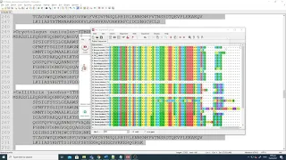 Finding Best Substitution Model for Phylogenetic Analysis - MEGA tutorial