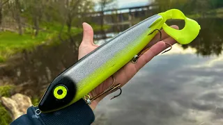 Spring Fishing GIANT LURES for HUGE MUSKY! (Shore Fishing)