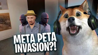 META PETA INVASION!? 😳 - CSYON Stream Highlights