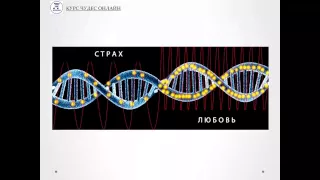 Презентация Курса Чудес Онлайн "Живая Система Счастья"