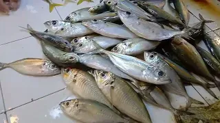 #Ipapakita ko naman sa inyo ang ibat-ibang klase na sariwang isda at kakanin!