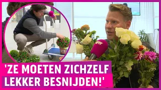 Gemeente Den Haag knettergek; wokisme raakt bloemen!