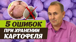 Как правильно хранить картофель. Советы специалиста