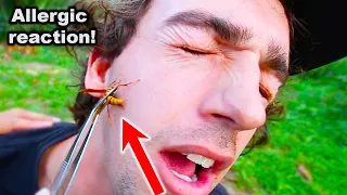 STUNG in FACE by an EXECUTIONER WASP! (Exposed Coyote Peterson)