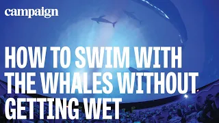 How to swim with the whales without getting wet