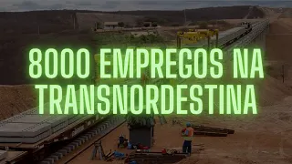 PROJEÇÃO DE ATÉ NOVOS 8 MIL EMPREGOS NA CONSTRUÇÃO DA TRANSNORDESTINA