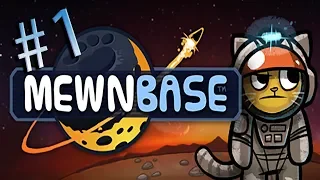 MewnBase # 1 - Eine Katze im Weltraum