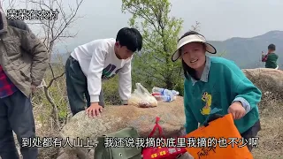 带着儿子上山采野茶，中午席地而坐吃午餐，一上午的收获也不少