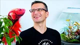 AQUARIUM Q AND A - VIEWERS' VOICE - FREQUENTLY ASKED QUESTIONS