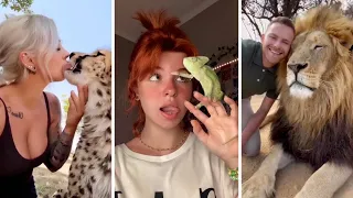 🥰 Cute And Funny Animals 🤣 Video Compilation 😜👍