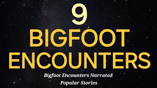 9 BIGFOOT ENCOUNTERS  - BIGFOOT ENCOUNTERS NARRATED POPULAR STORIES