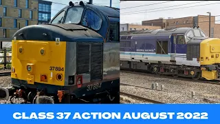 Class 37s In Action