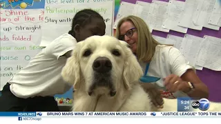 Program uses dogs to help kids learn to read