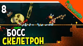 🩸 БОСС СКЕЛЕТРОН НА МАСТЕРЕ! ИМБОВЫЙ ПЧЕЛИНЫЙ СЕТ ТЕРРАРИЯ  ☠️ Terraria (Террария) Прохождение