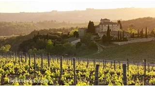 Tuscany, Italy: Chianti Wine and Crete Senesi Regions - Rick Steves’ Europe Travel Guide