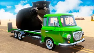 THE CAT INCREASES EVERY 5 KILOMETERS [The Long Drive]