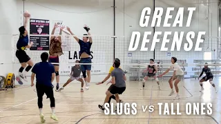 Great Defense : Slugs vs Tall Ones Highlights December 2023