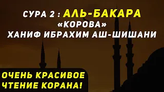 КРАСИВОЕ ЧТЕНИЕ КОРАНА! СУРА 2 : АЛЬ - БАКАРА «КОРОВА». ХАНИФ ИБРАХИМ АШ-ШИШАНИ