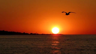 Схід сонця над Чорним морем... Восход солнца над Черным морем... Sunrise over the Black Sea