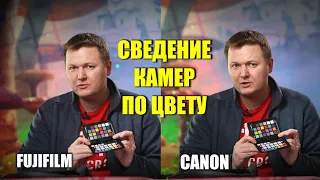 Как сводить камеры Canon, Fujifilm и другие в Davinci Resolve с Colorchecker и 3D Lut Creator