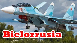 Top 10 Armas más Poderosas de BIELORRUSIA.