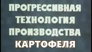 Технология возделывания картофеля