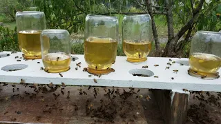 Evolution of feeding an ever growing Apiary using my essential oil mixture.