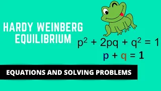 HARDY WEINBERG EQUILIBRIUM, EQUATIONS, AND CALCULATIONS