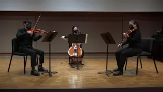 Chamber Orchestra of Williams