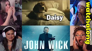 Daisy | John Wick (2014) First Time Watching Movie Reaction