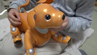 AIBOがウチにやって来た【キャラメルエディション】アイボのモミジ　SONY dog type robot AIBO caramel edition