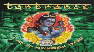 A Trip To Psychedelic Trance - Mix 13