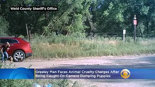 Brent Moss Of Greeley Caught On Camera Dumping Puppies, Faces Cruelty Charges