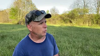 Giant Miscanthus Grass