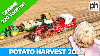 Potato Harvest 2022 is a GO GO GO! Full Video #harvest22
