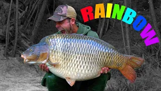 RAINBOW - The worlds most EXTREME CARP FISHING