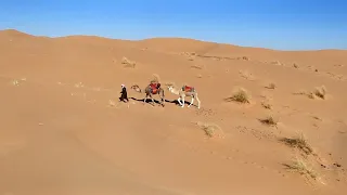 Erg Chebbi - Walking the Camels