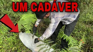 UM C4DAVER UMA 12 E MUITA COISA ESCONDIDO AQUI!!