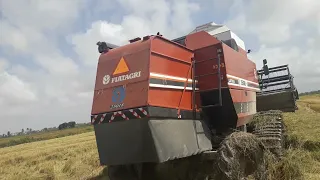 harvest season 2020 /  2