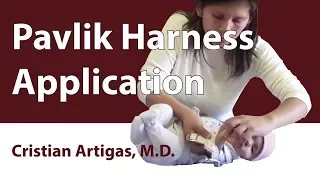 Pavlik Harness Application