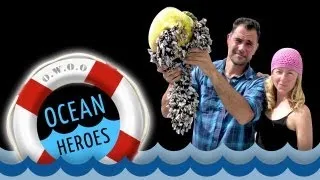 Ocean Heroes: The Plastics Problem -- 5 Gyres Institute