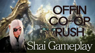 Offin Co-op Rush 2022.4.27 l Black Desert Mobile