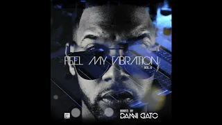 Feel My Vibration | AfroHouse | Vol.2 | DJ DANNI GATO (2018)