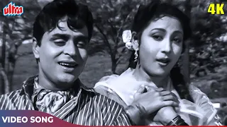 धड़कने लगे दिल के Song (HD) Mahendra Kapoor, Asha Bhosle| Rajendra Kumar, Mala Sinha |Old Hindi Songs