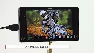 Hands-On Review: Atomos | Shogun 4K Recorder