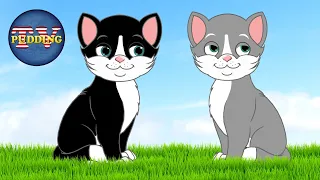 Two Kittens | Children's Songs with Animation