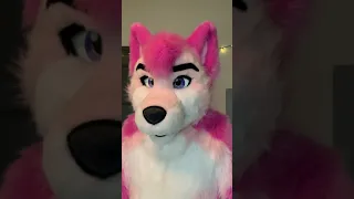 POV: Fursuiter recognizes you at the con