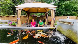 How large should a koi pond be? How many koi should I keep in my pond? Thank you subscribers!